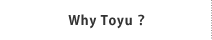 Why Toyu?